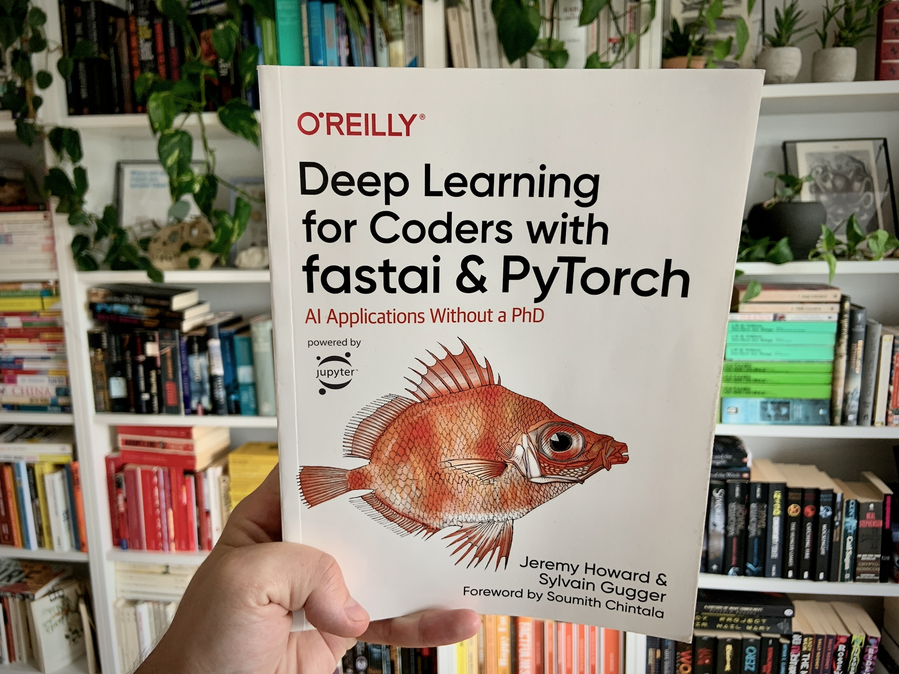 Book Review Deep Learning For Coders With Fastai And PyTorch Casual 